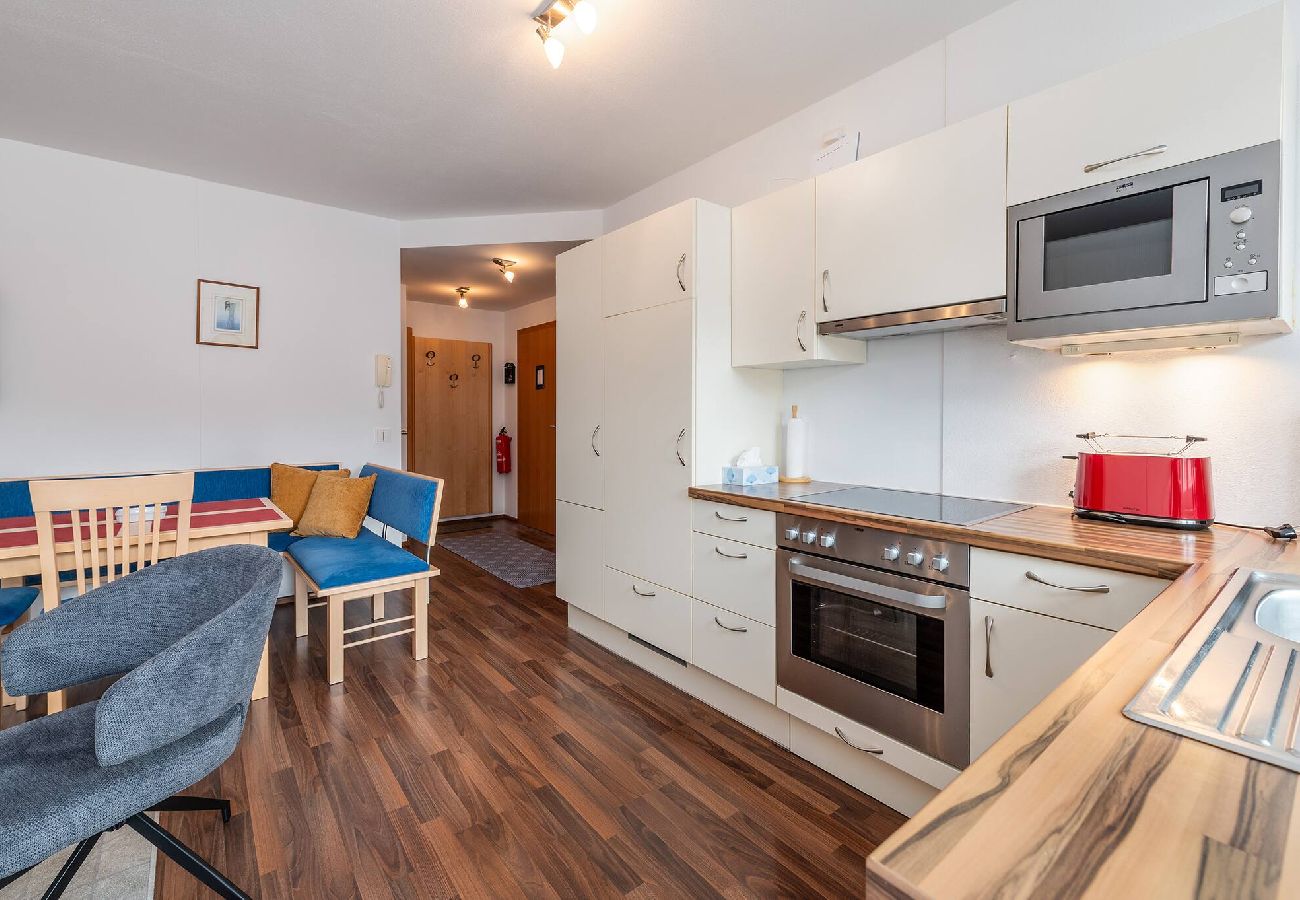 Apartment in Schladming - Schladminger-Tor Apartment