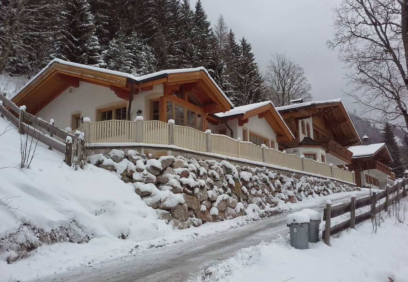 House in Schladming - Alpenvilla Janerweg