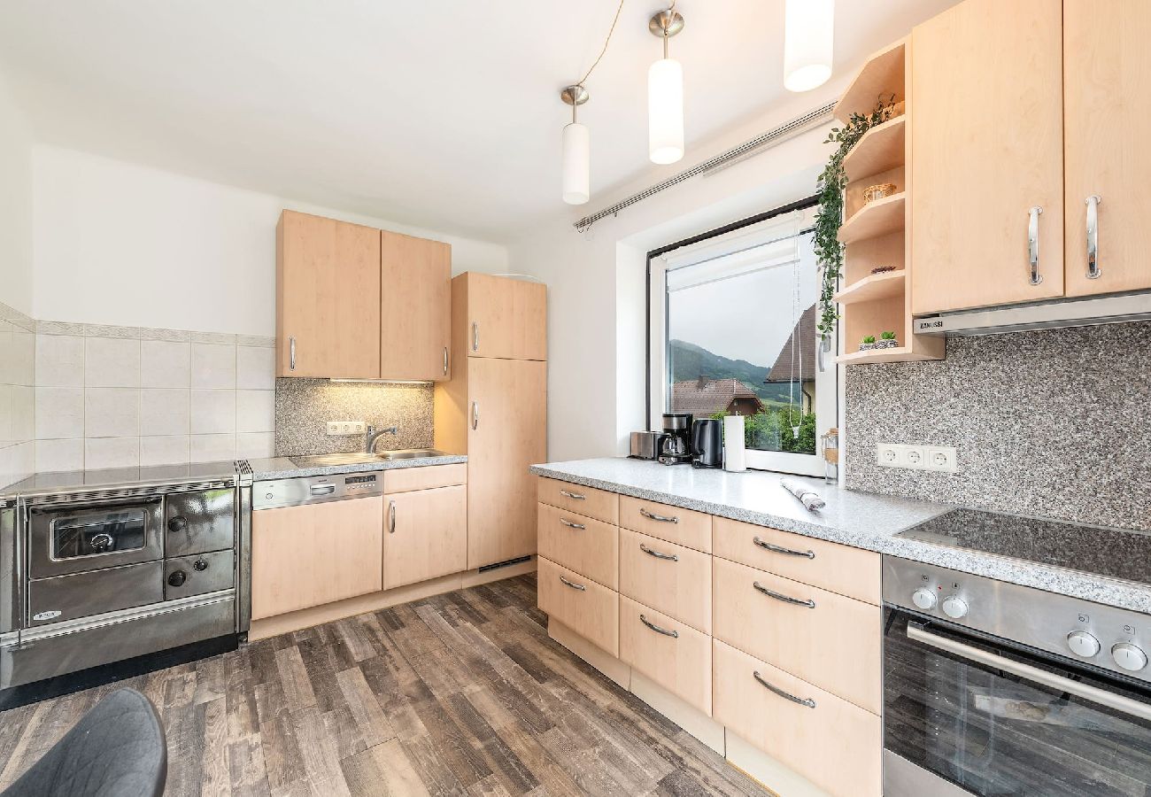 Apartment in Haus im Ennstal - apart.HAUS 1