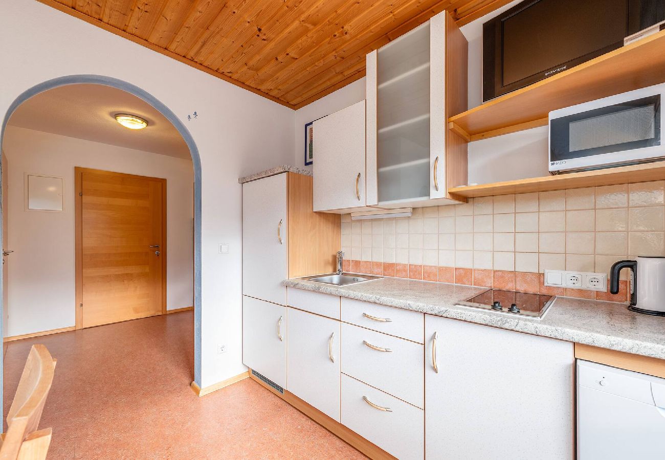 Apartment in Haus im Ennstal - Bio.HAUS Markus