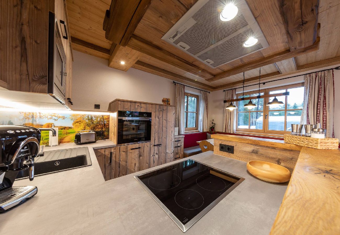 House in Haus im Ennstal - Chalet Hoamatgfühl