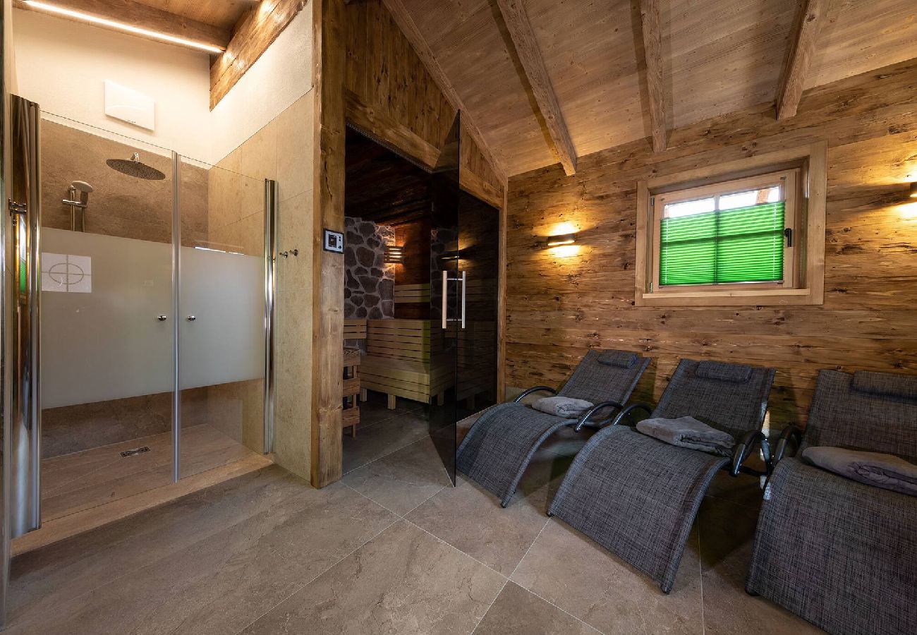 House in Haus im Ennstal - Chalet Hoamatgfühl