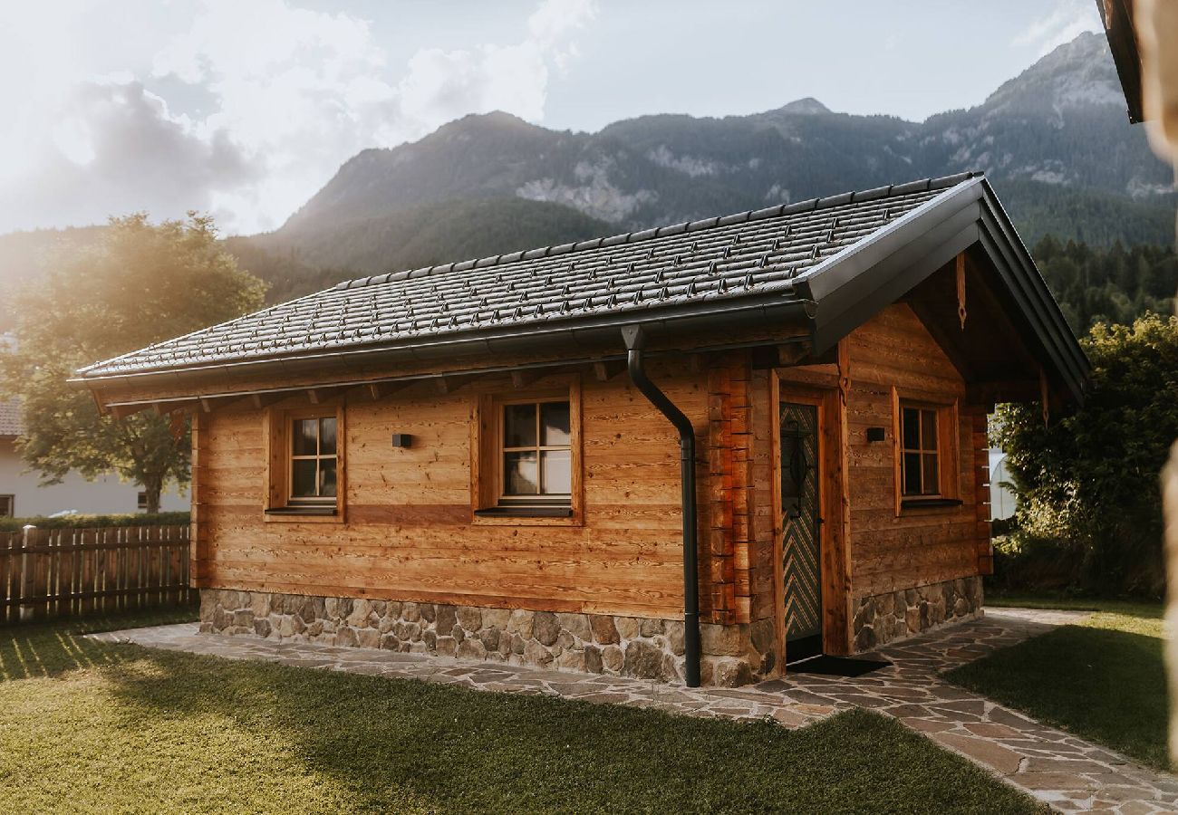 House in Haus im Ennstal - Chalet Hoamatgfühl