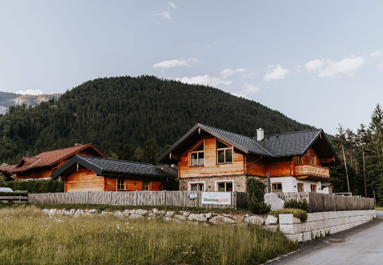 House in Haus im Ennstal - Chalet Hoamatgfühl