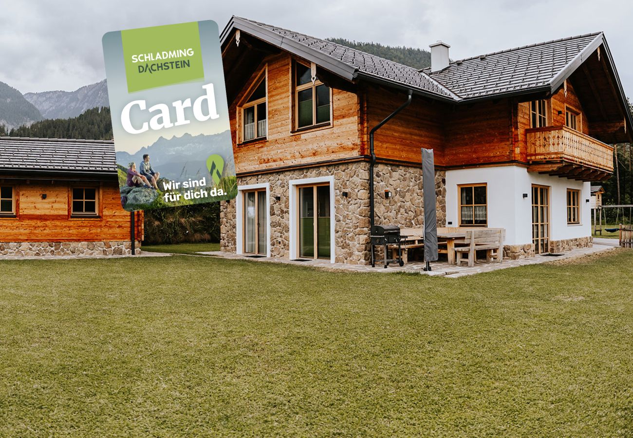 House in Haus im Ennstal - Chalet Hoamatgfühl