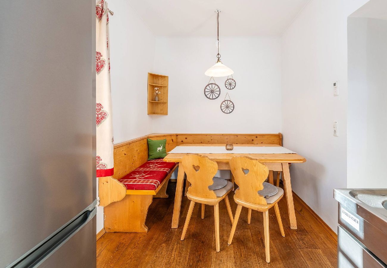 Apartment in Bad Mitterndorf - Alte Schmiede 1