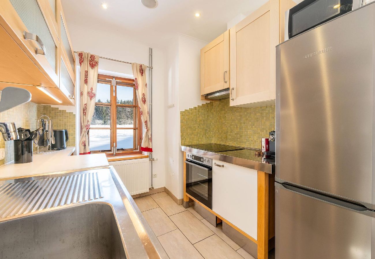 Apartment in Bad Mitterndorf - Alte Schmiede 1