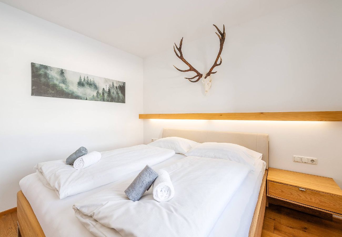 Apartment in Bad Mitterndorf - Alte Schmiede 1