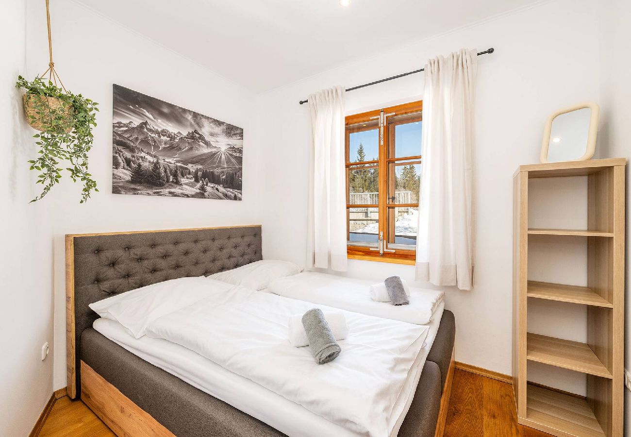 Apartment in Bad Mitterndorf - Alte Schmiede 1