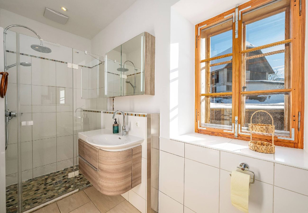 Apartment in Bad Mitterndorf - Alte Schmiede 1