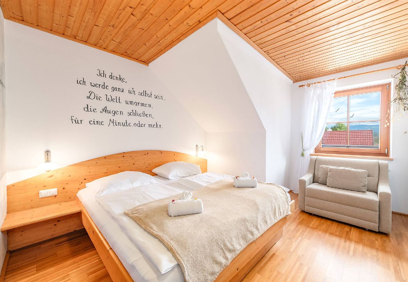 Apartment in Haus im Ennstal - Bio.HAUS Christina