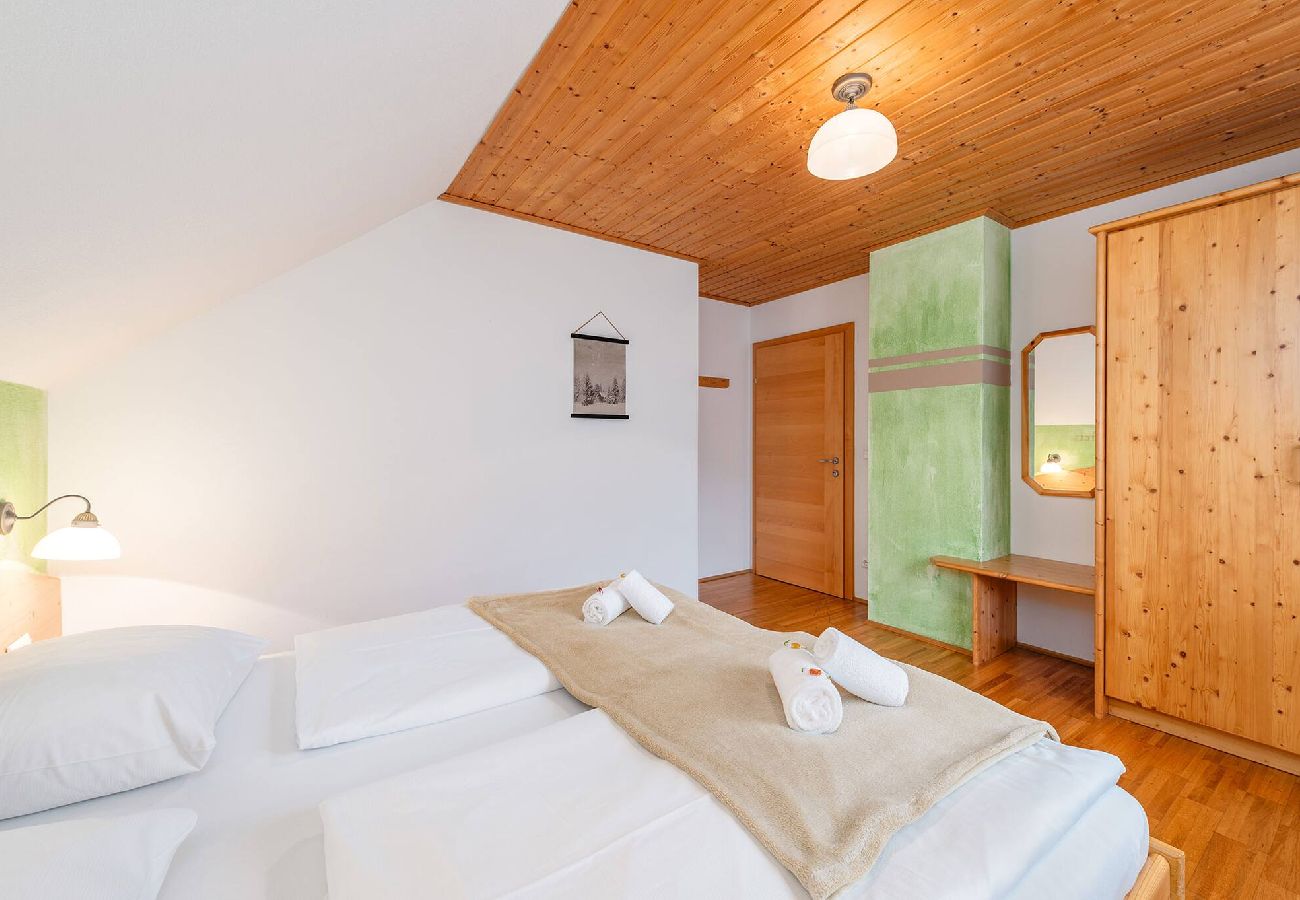 Apartment in Haus im Ennstal - Bio.HAUS Christina