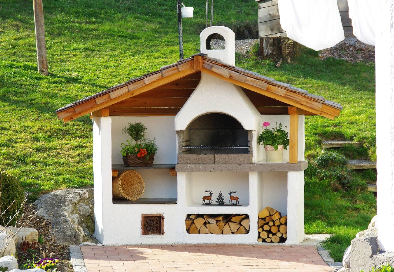 Apartment in Haus im Ennstal - Bio.HAUS Christina