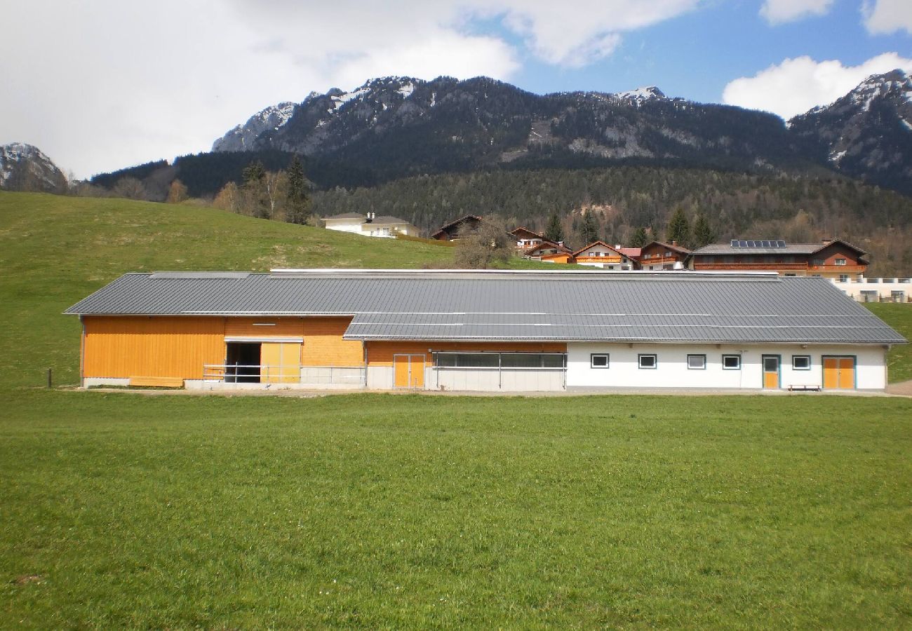 Apartment in Haus im Ennstal - Bio.HAUS Christina