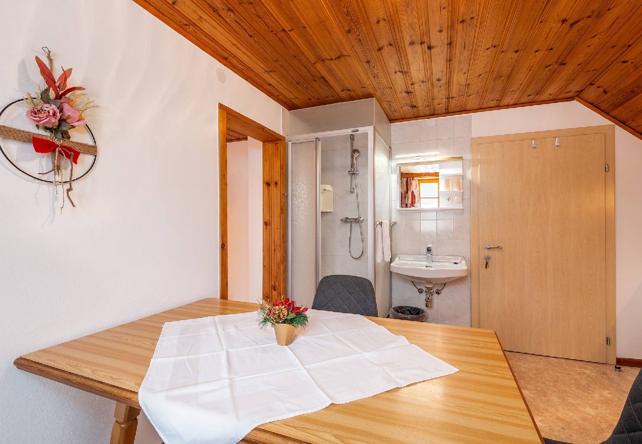 Apartment in Mitterberg-Sankt Martin - Matzling Apartment 2