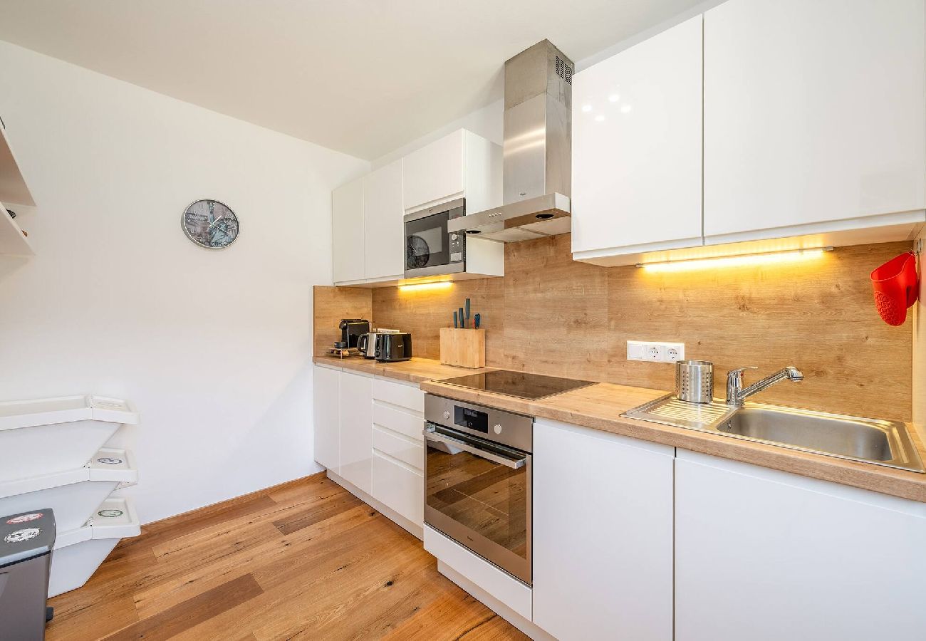 Apartment in Schladming - Schmiedbadl Schladming Apartment