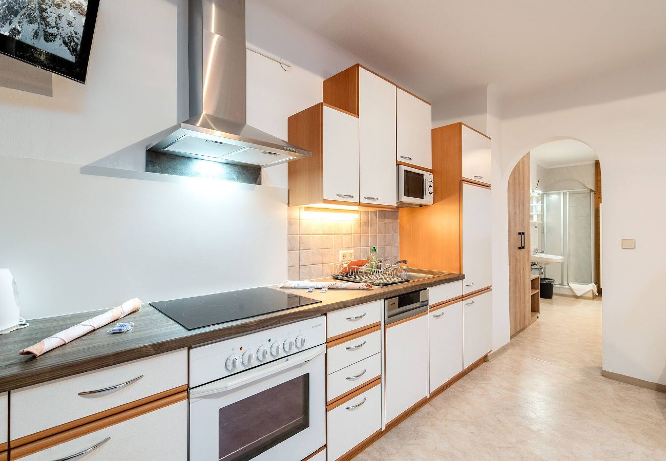 Apartment in Mitterberg-Sankt Martin - Matzling Apartment 1