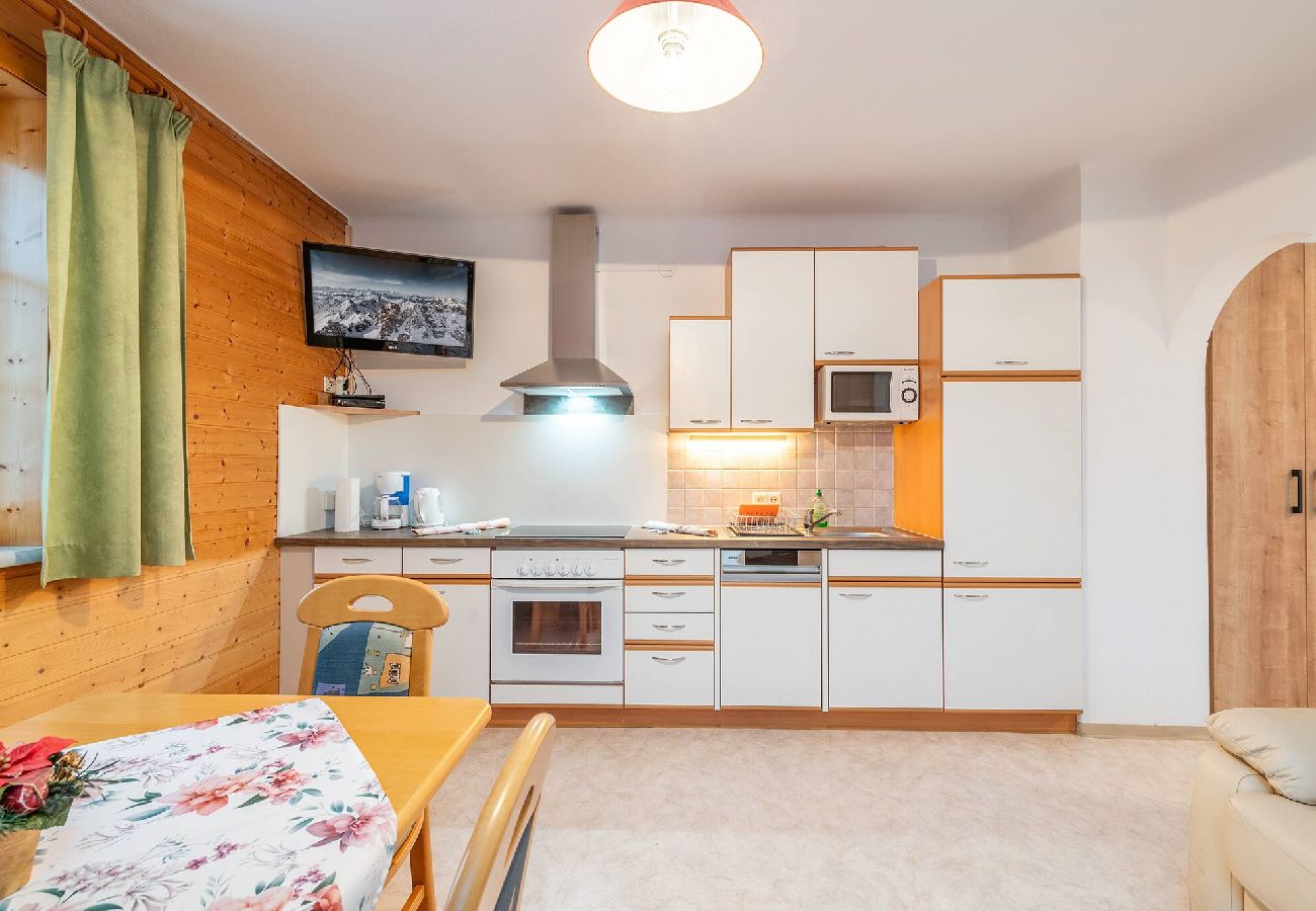Apartment in Mitterberg-Sankt Martin - Matzling Apartment 1