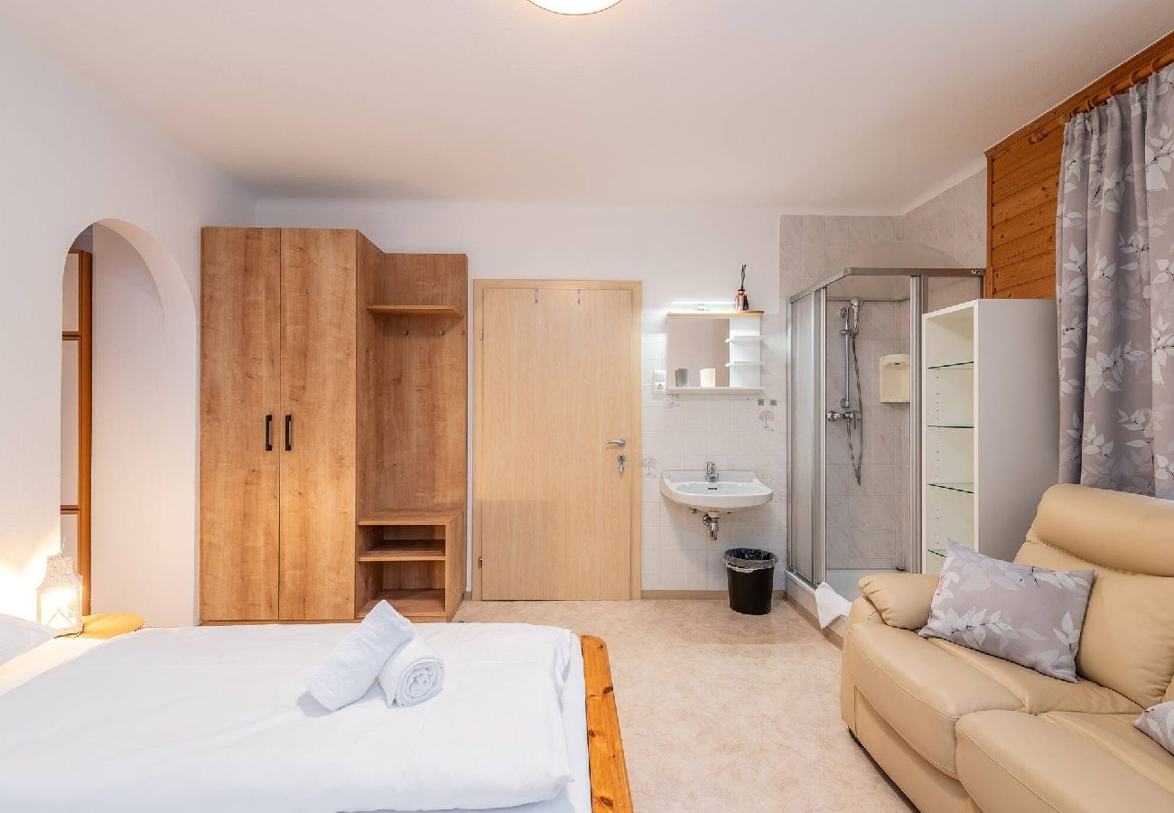 Apartment in Mitterberg-Sankt Martin - Matzling Apartment 1