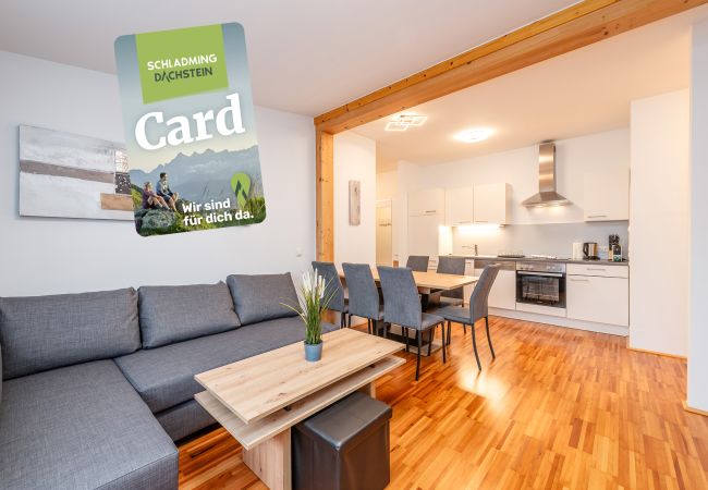 Apartment in Haus im Ennstal - Mountain Soulscape 12