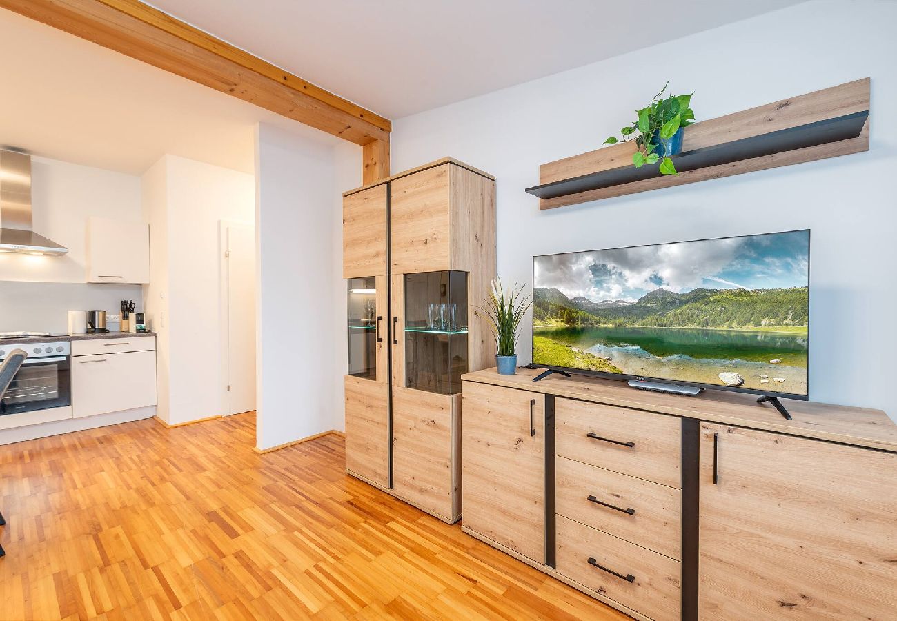Apartment in Haus im Ennstal - Mountain Soulscape 12