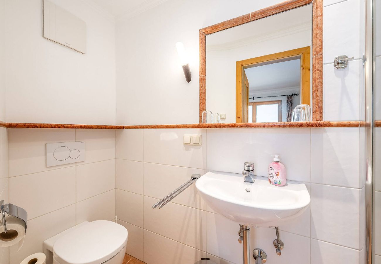 Apartment in Bad Aussee - Stanglhof - Apartment Trisselwand
