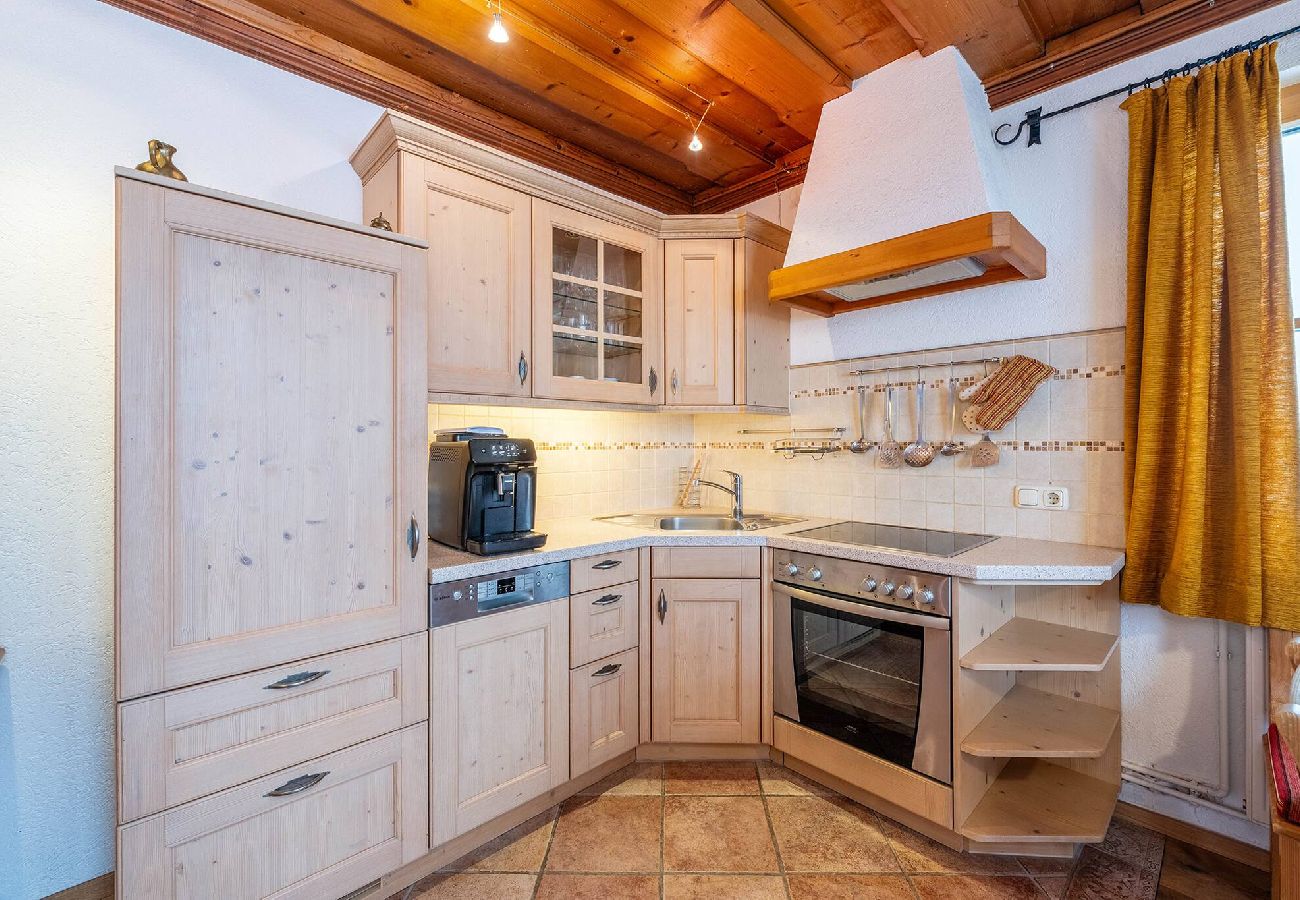 Apartment in Bad Aussee - Stanglhof - Apartment Trisselwand