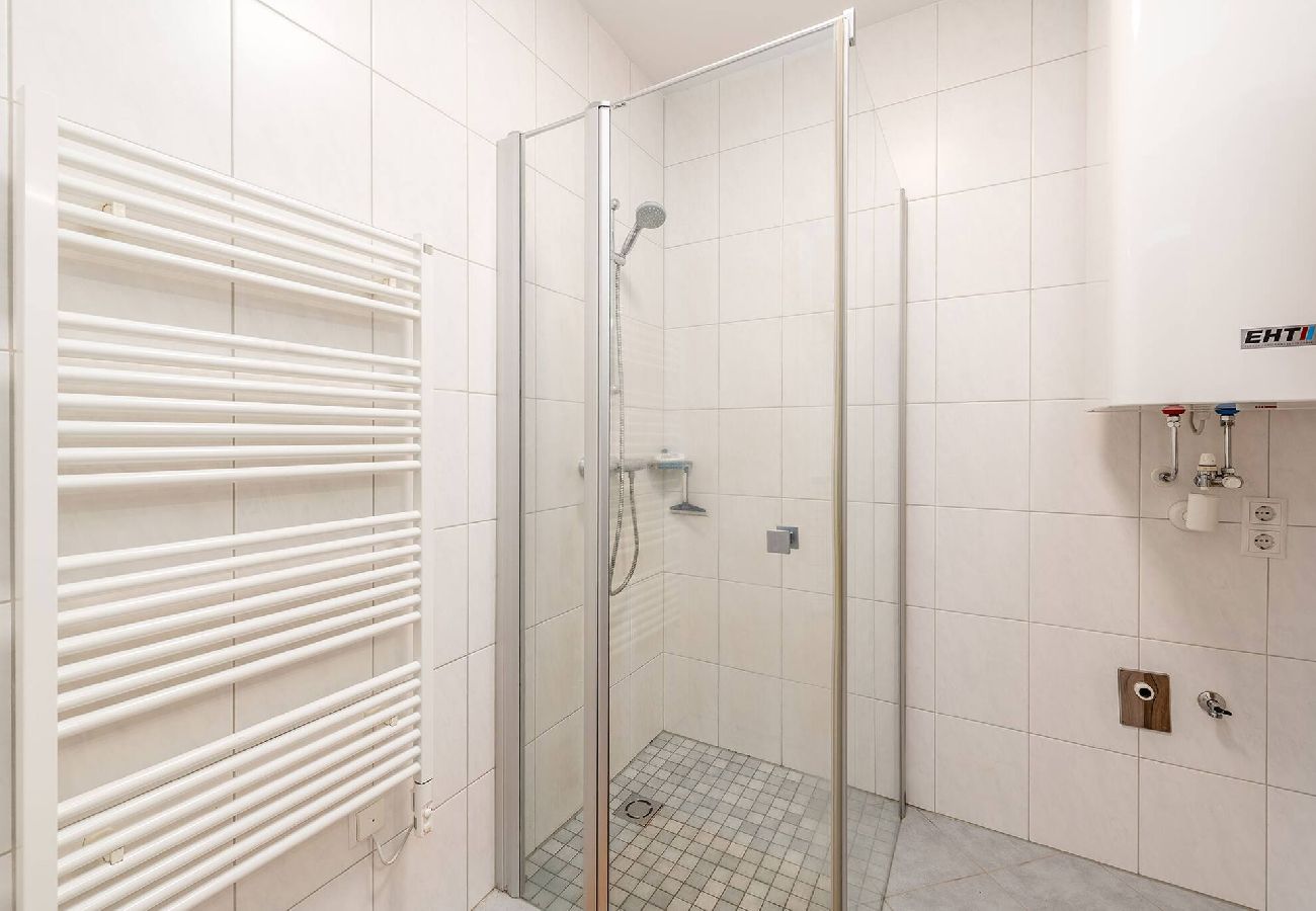 Apartment in Haus im Ennstal - Mountain Soulscape 5