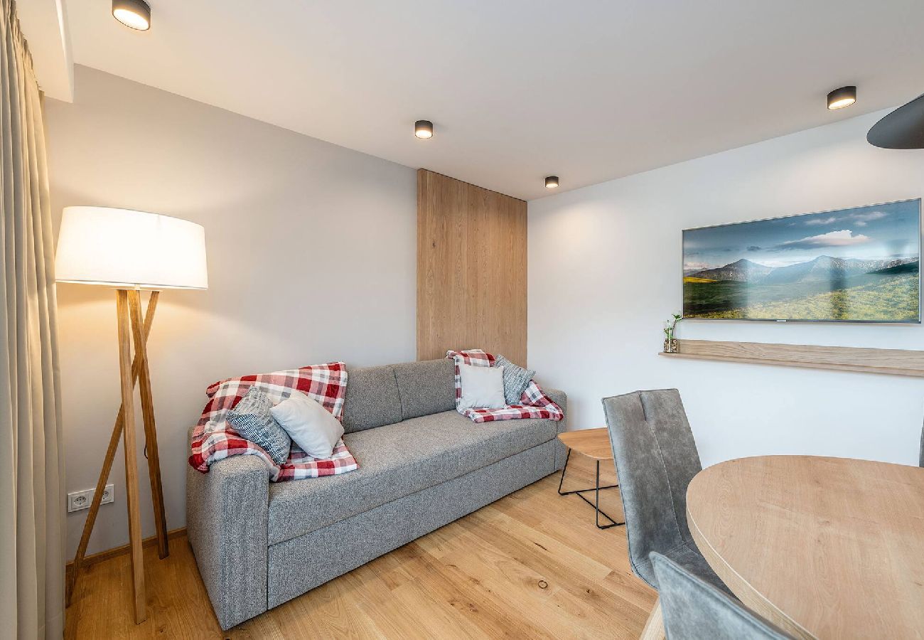 Apartment in Schladming - Apart Erle 181 (Apartment 6)
