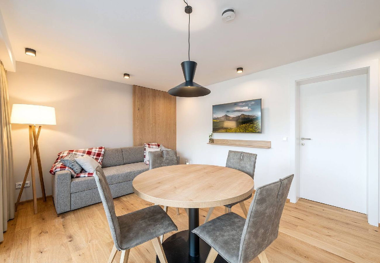 Apartment in Schladming - Apart Erle 181 (Apartment 6)