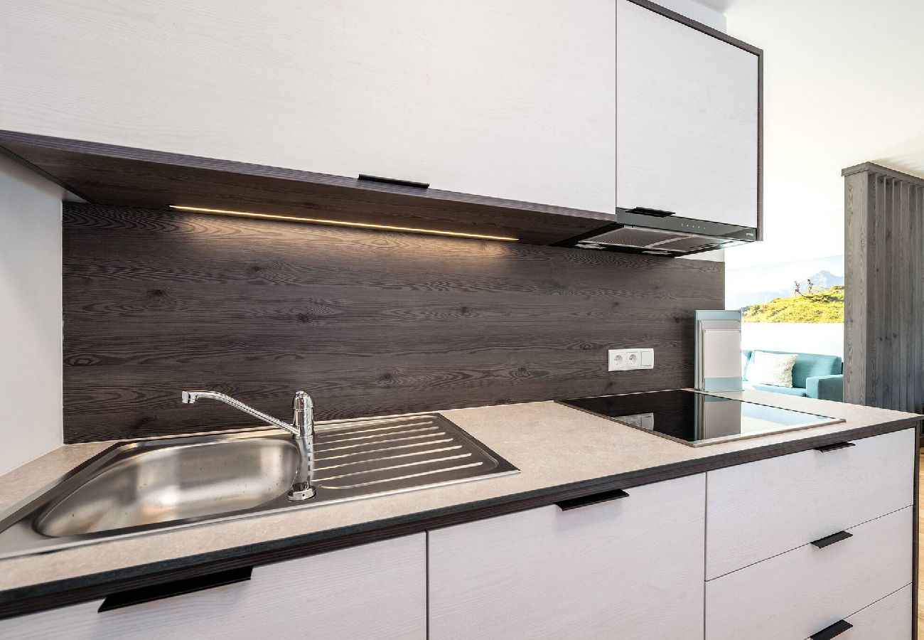 Apartment in Haus im Ennstal - Wiesenblick Residences - Apartment 15