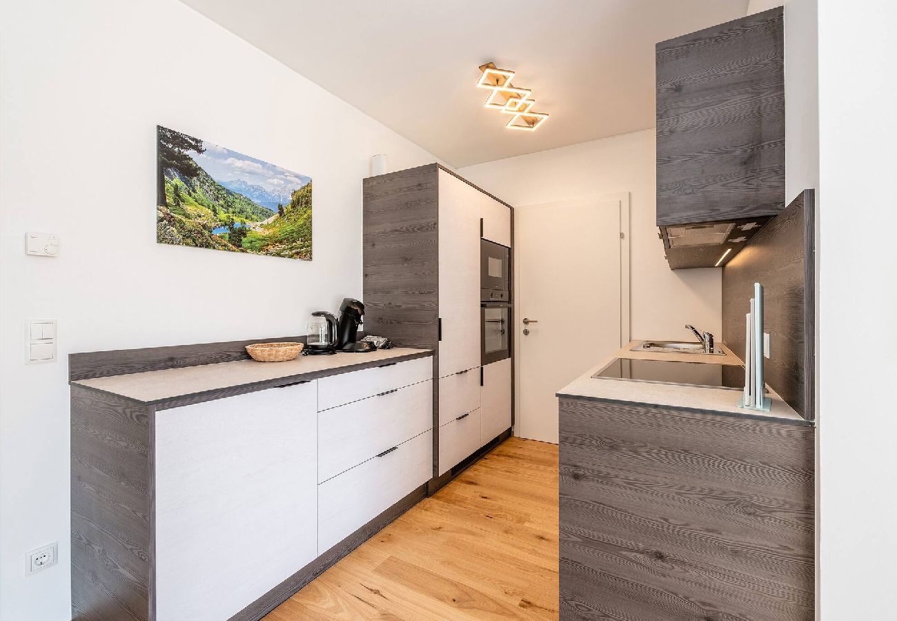 Apartment in Haus im Ennstal - Wiesenblick Residences - Apartment 15