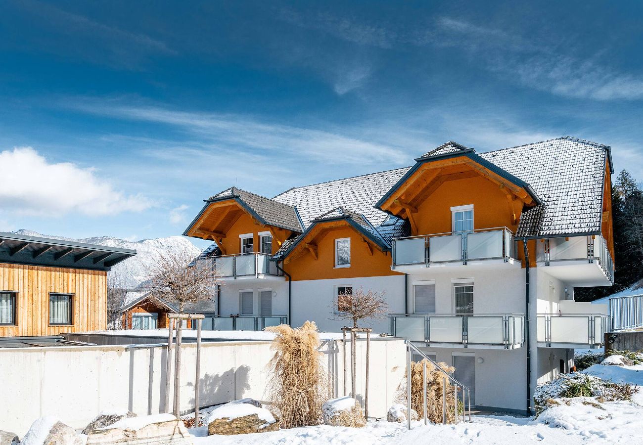 Apartment in Haus im Ennstal - Peak Access Haus im Ennstal