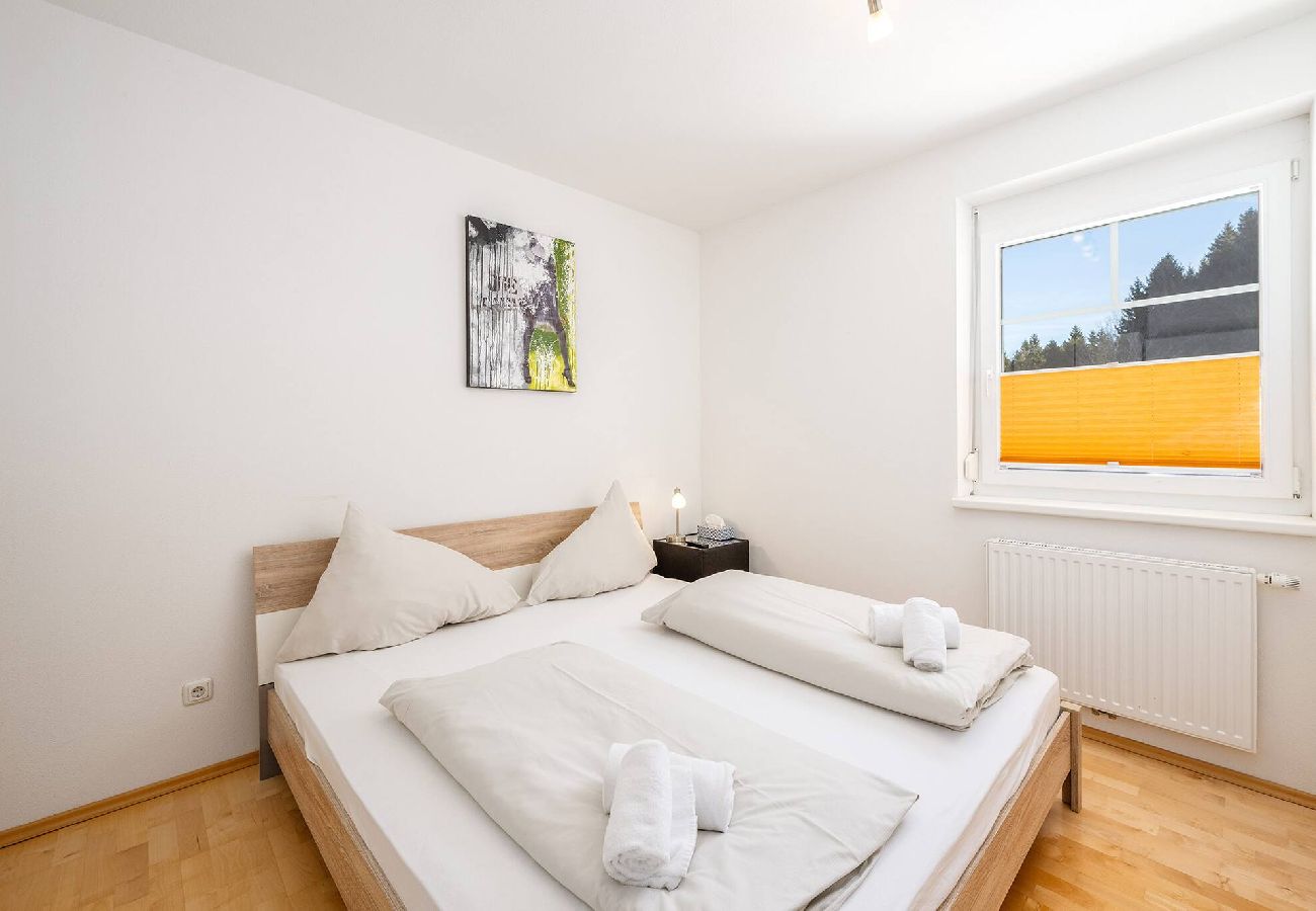 Apartment in Haus im Ennstal - Peak Access Haus im Ennstal