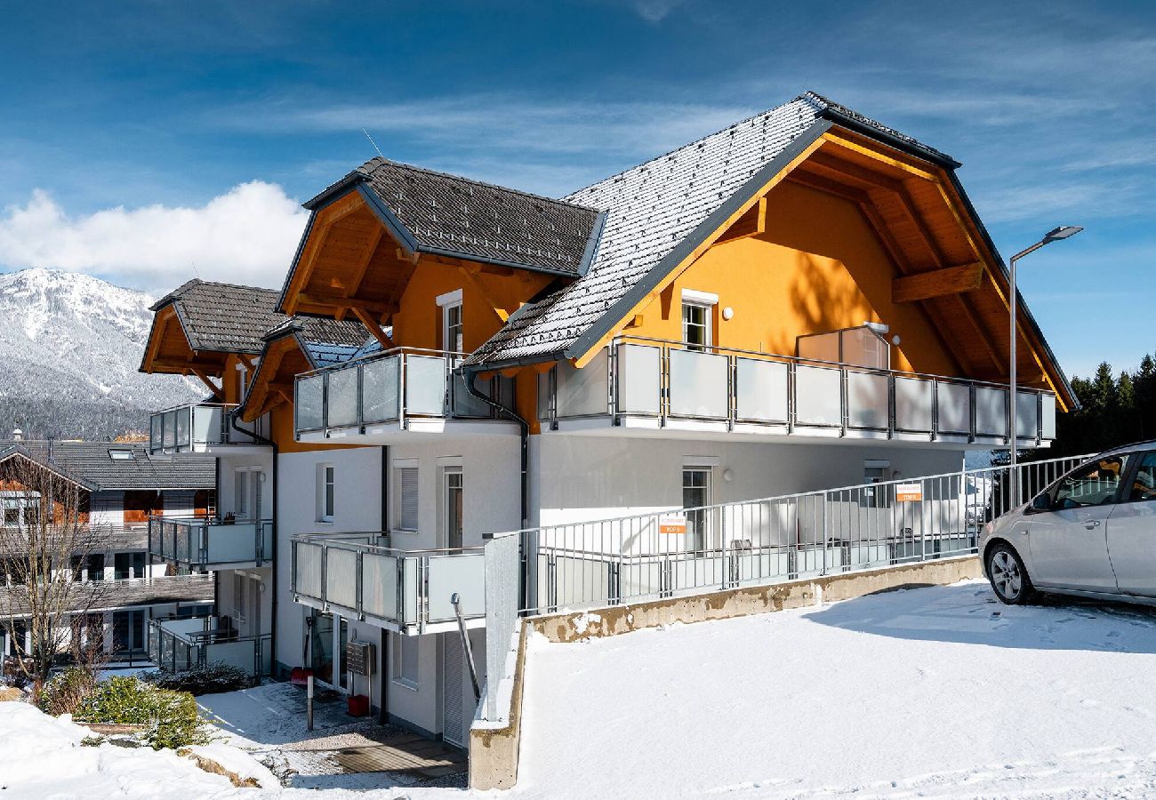 Apartment in Haus im Ennstal - Peak Access Haus im Ennstal