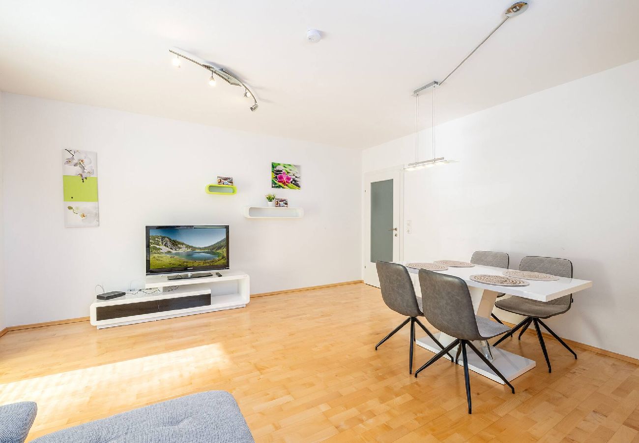 Apartment in Haus im Ennstal - Peak Access Haus im Ennstal