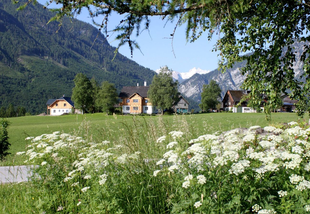 Apartment in Bad Aussee - Stanglhof - Apartment Sandling