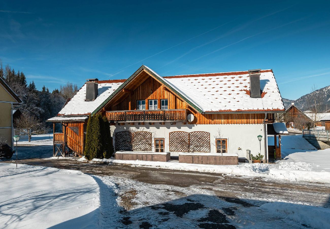 Apartment in Bad Mitterndorf - Alte Schmiede 2