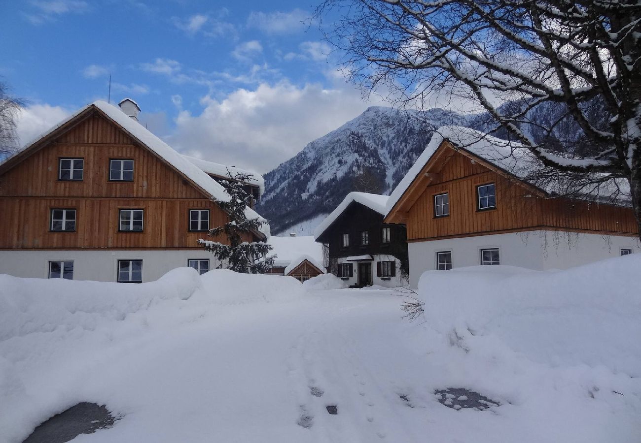 Apartment in Bad Aussee - Stanglhof - Apartment Loser