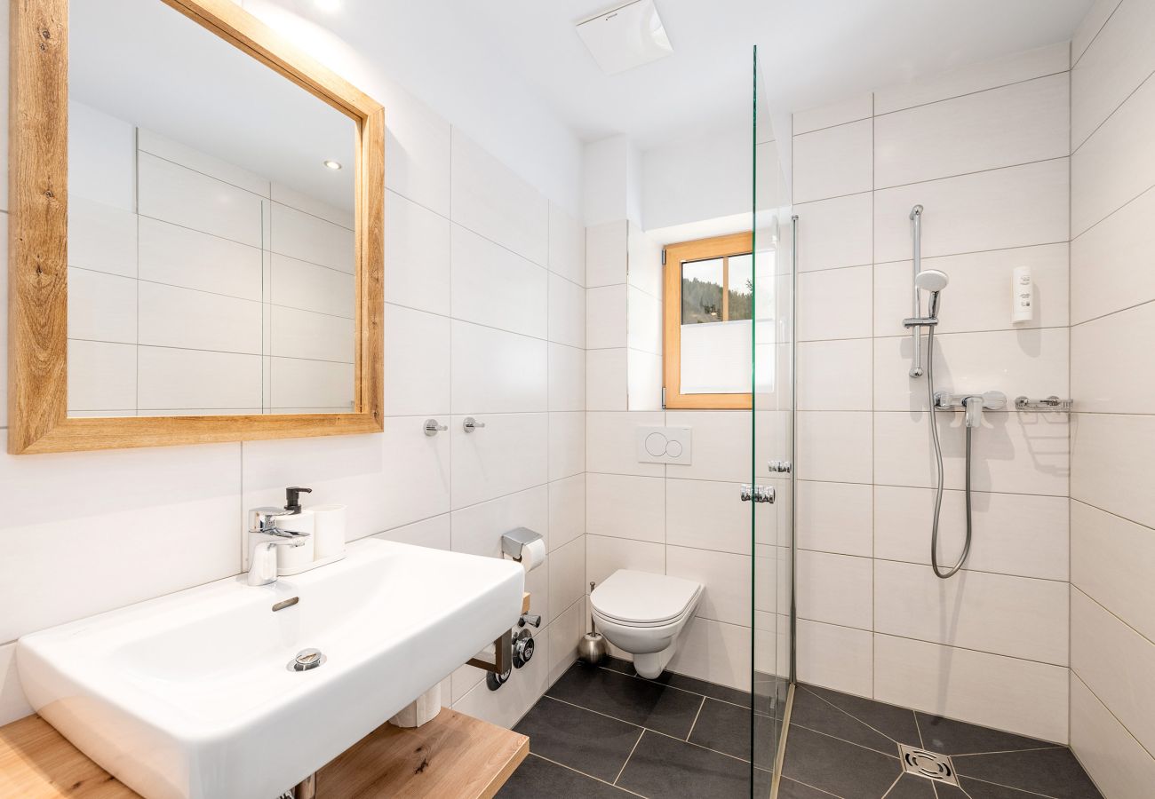 Apartment in Schladming - Planaiblick-Lodge