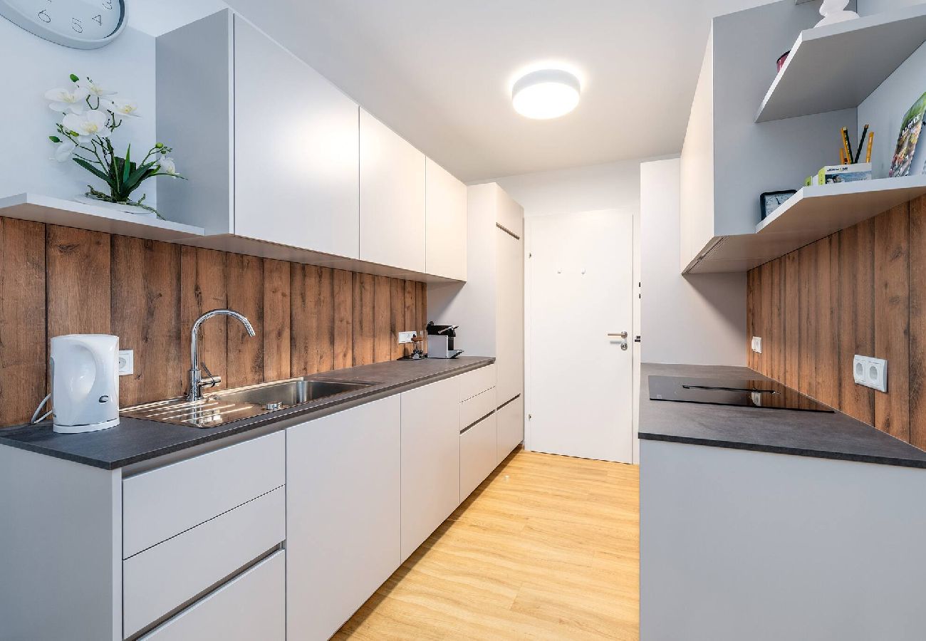 Apartment in Haus im Ennstal - Wiesenblick Residences - Apartment 10