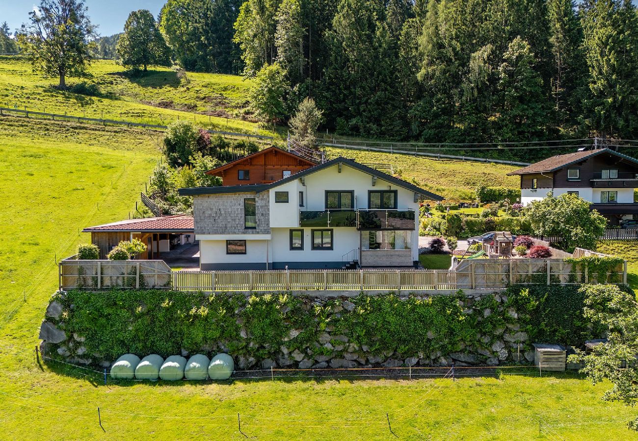 Apartment in Haus im Ennstal - Mountain Love Appartement 1