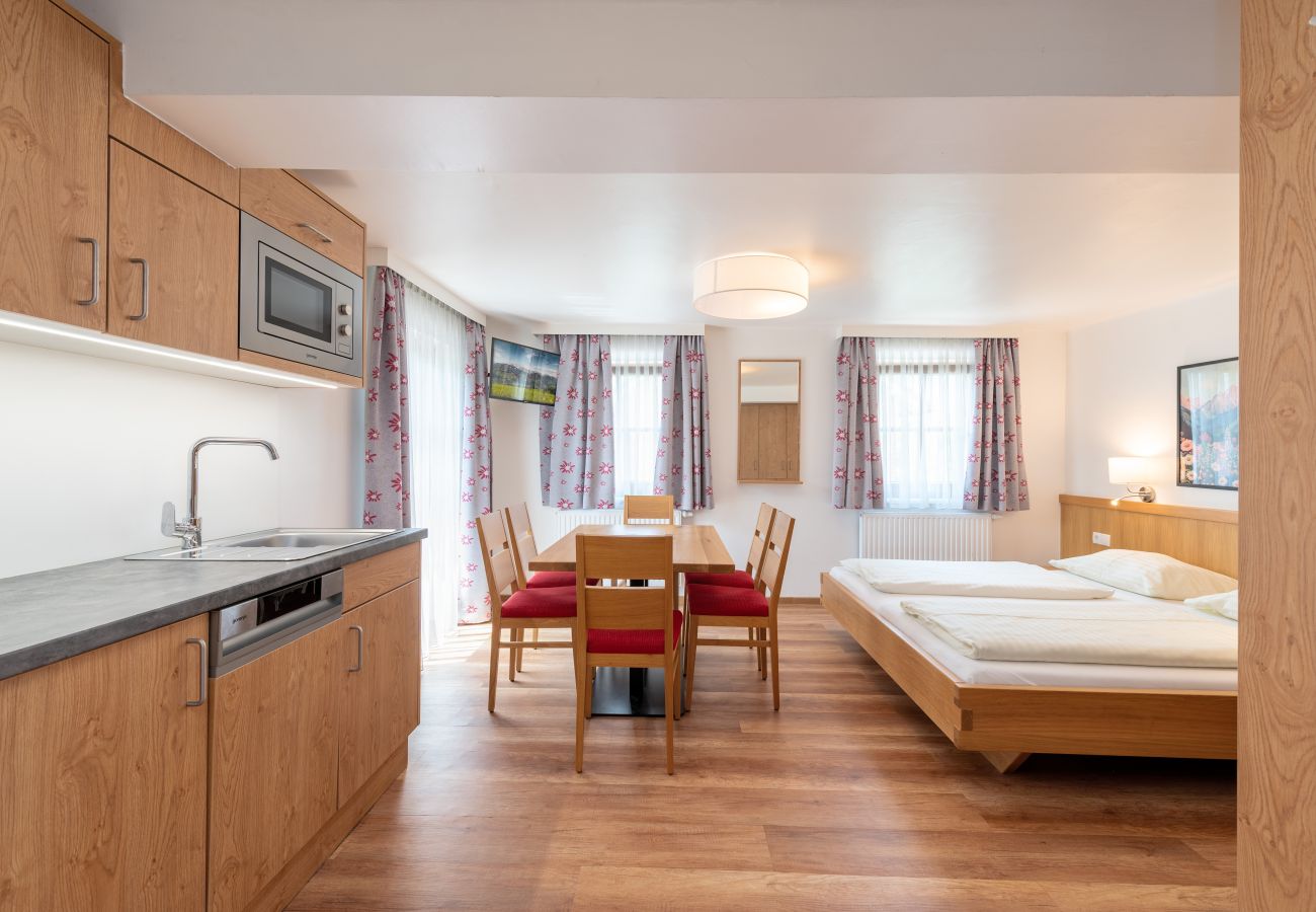 Apartment in Mitterberg-Sankt Martin - Reisslerhof - Apartment 07 (APP5)