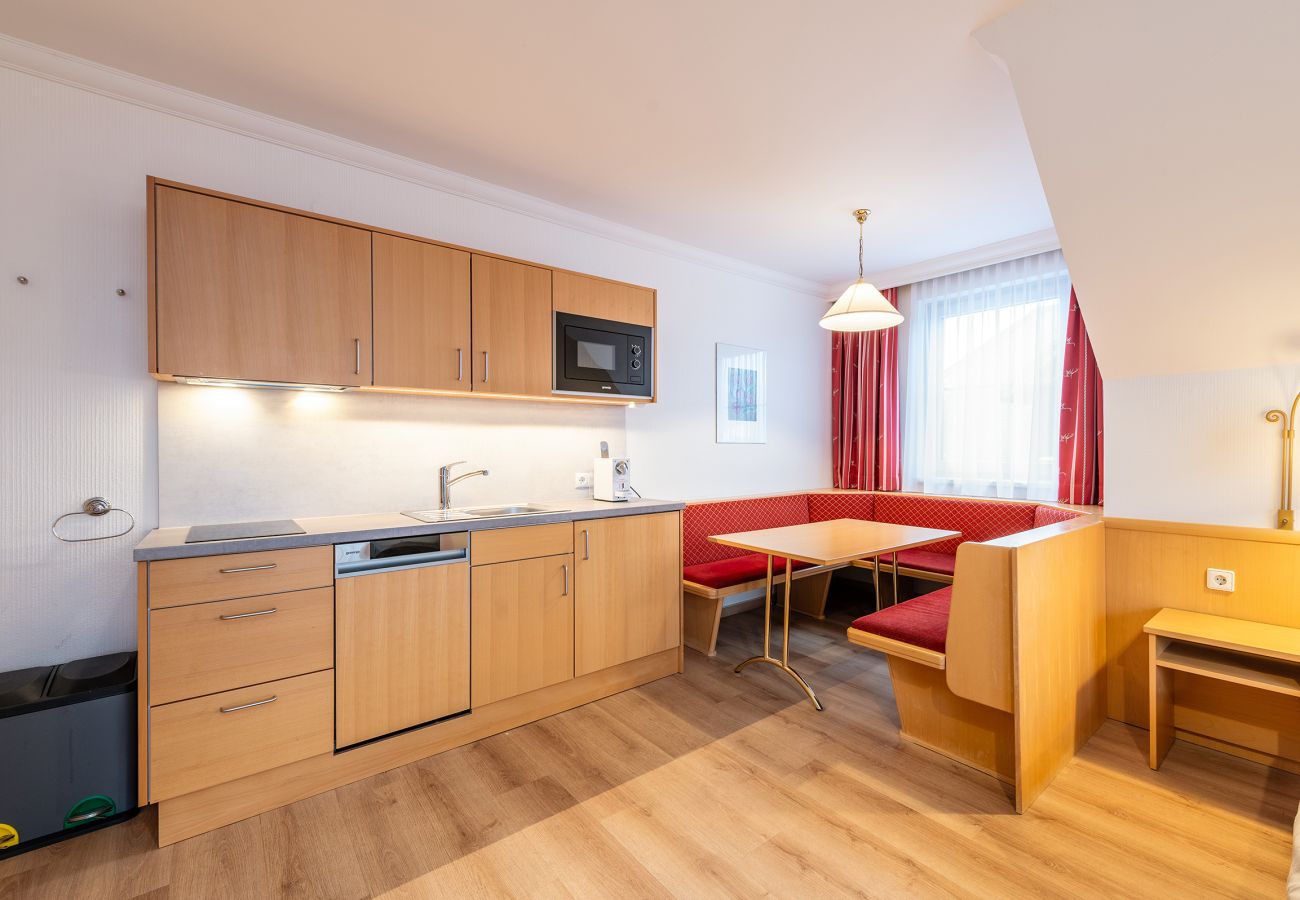 Apartment in Mitterberg-Sankt Martin - Reisslerhof - Apartment 14 (APP6)