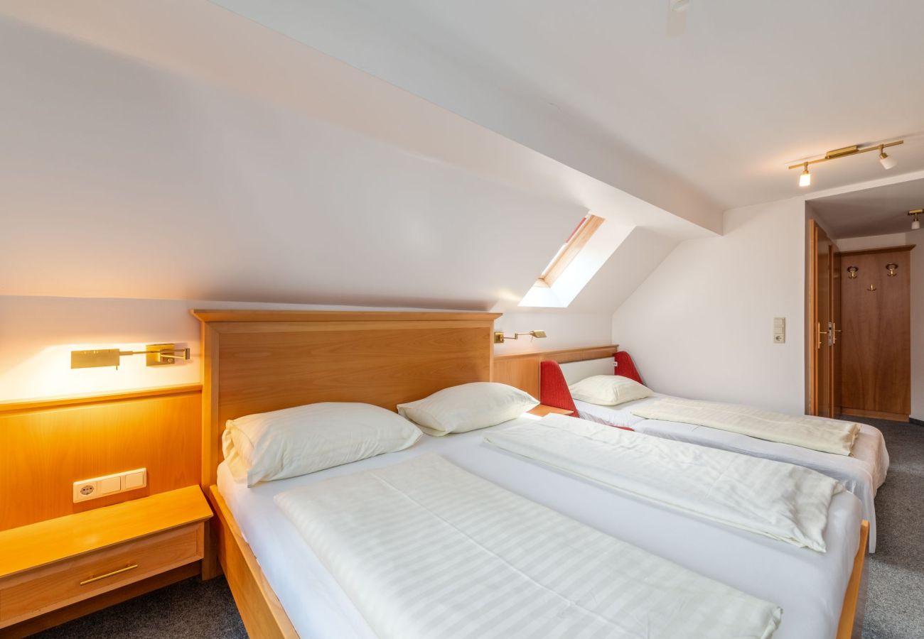 Apartment in Mitterberg-Sankt Martin - Reisslerhof - Apartment 20 (APP7)