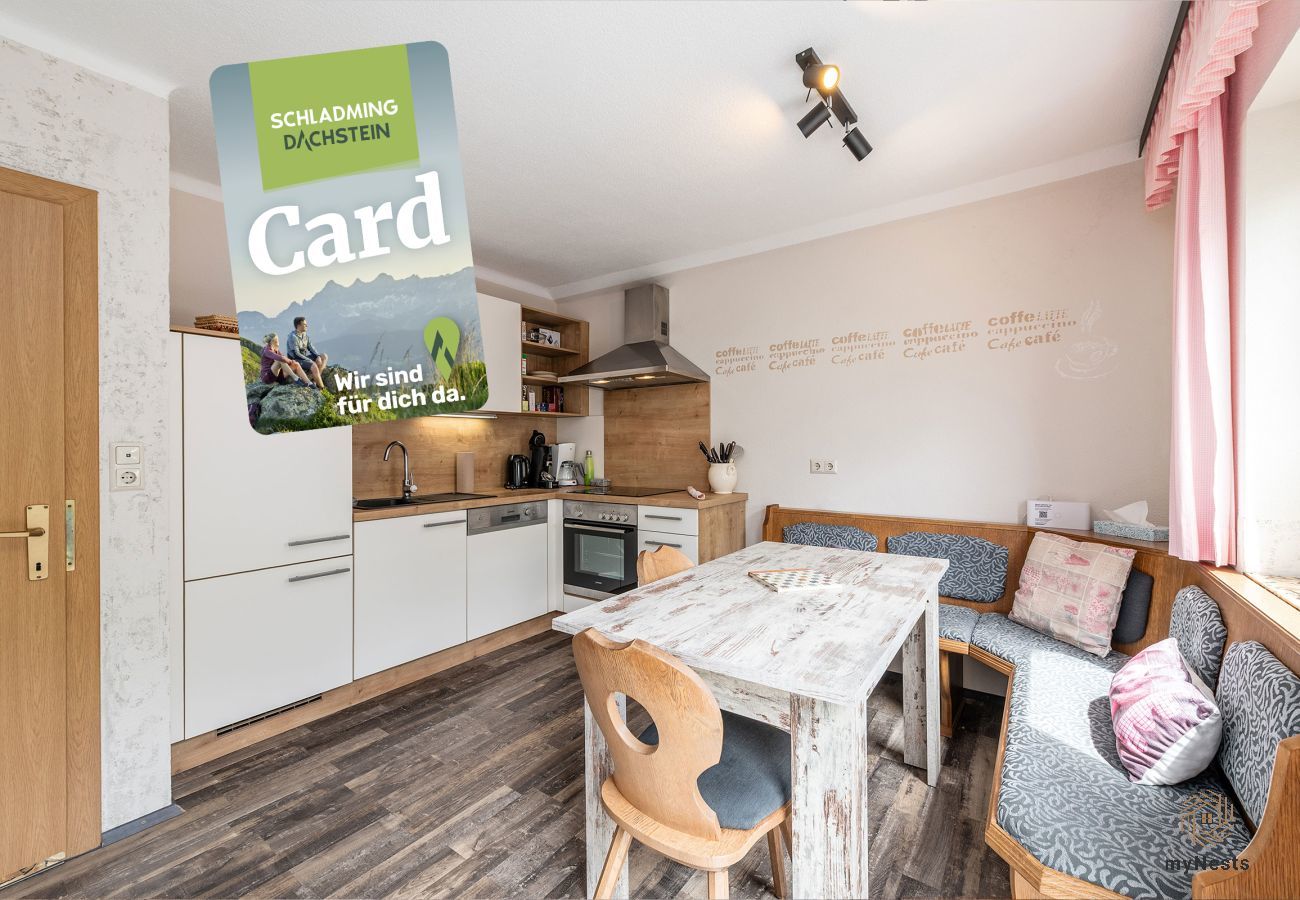 Apartment in Haus im Ennstal - apart.HAUS 2