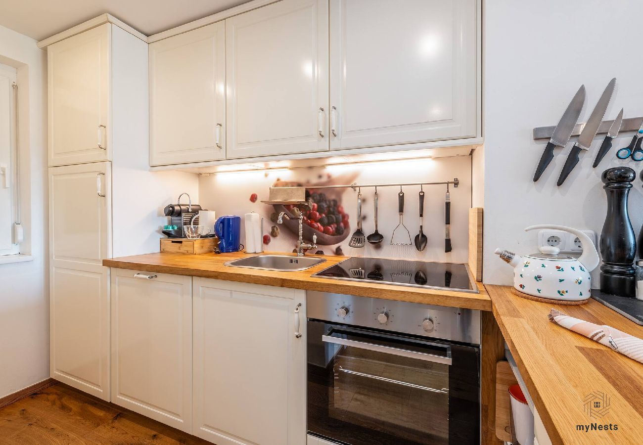 Terraced House in Gröbming - StoderGarden Apartment