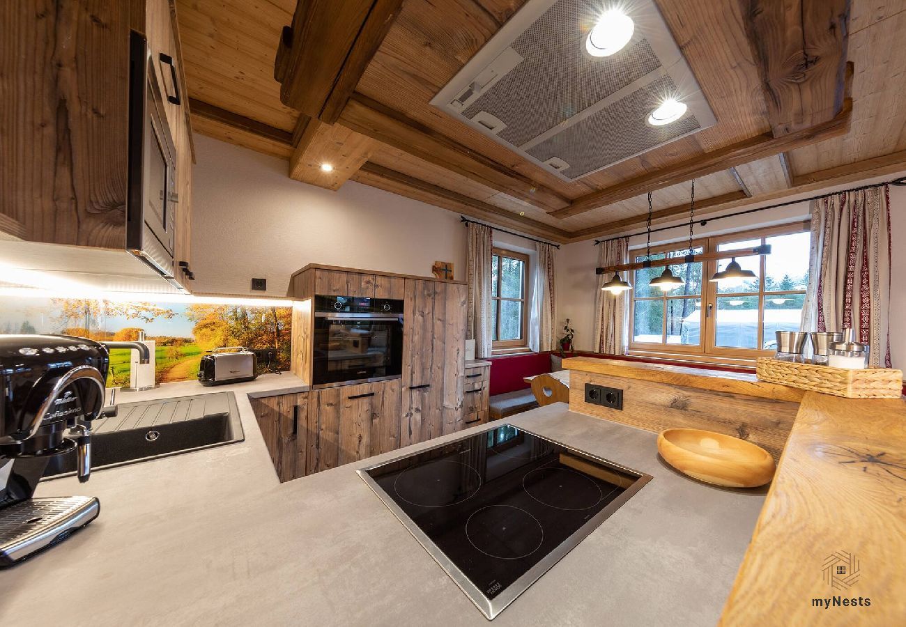House in Haus im Ennstal - Chalet Hoamatgfühl