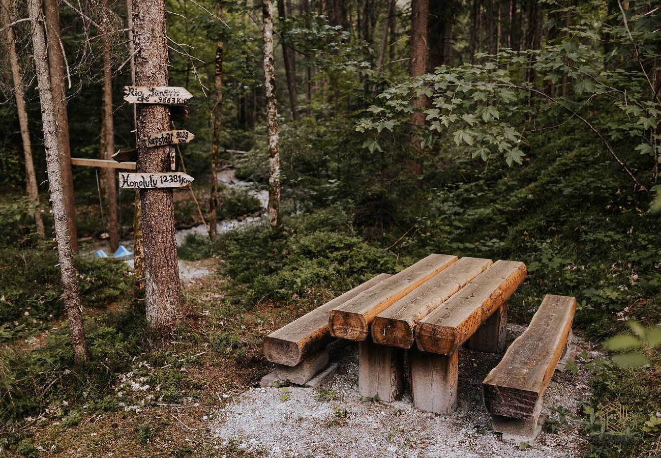 House in Haus im Ennstal - Chalet Hoamatgfühl