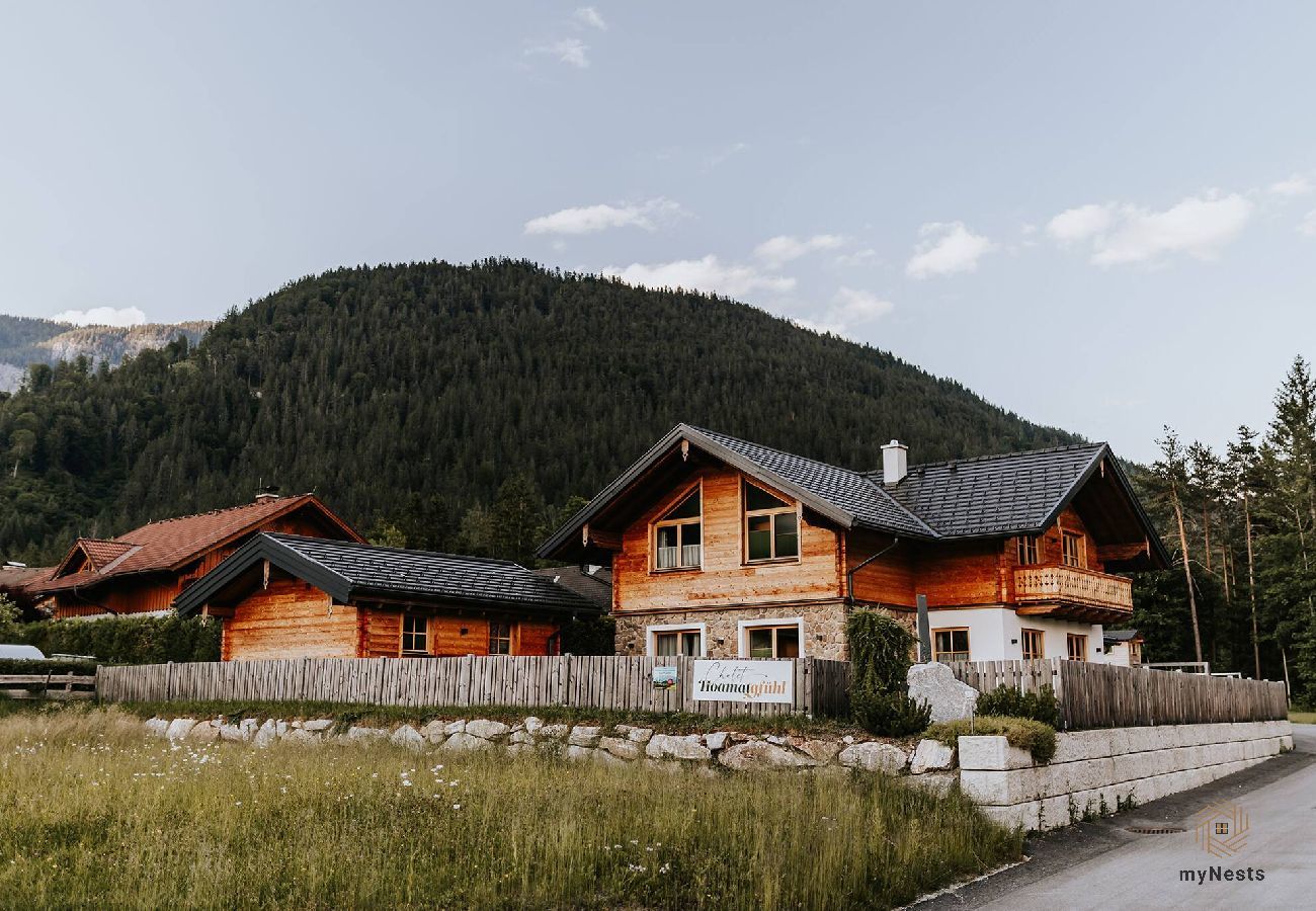 House in Haus im Ennstal - Chalet Hoamatgfühl